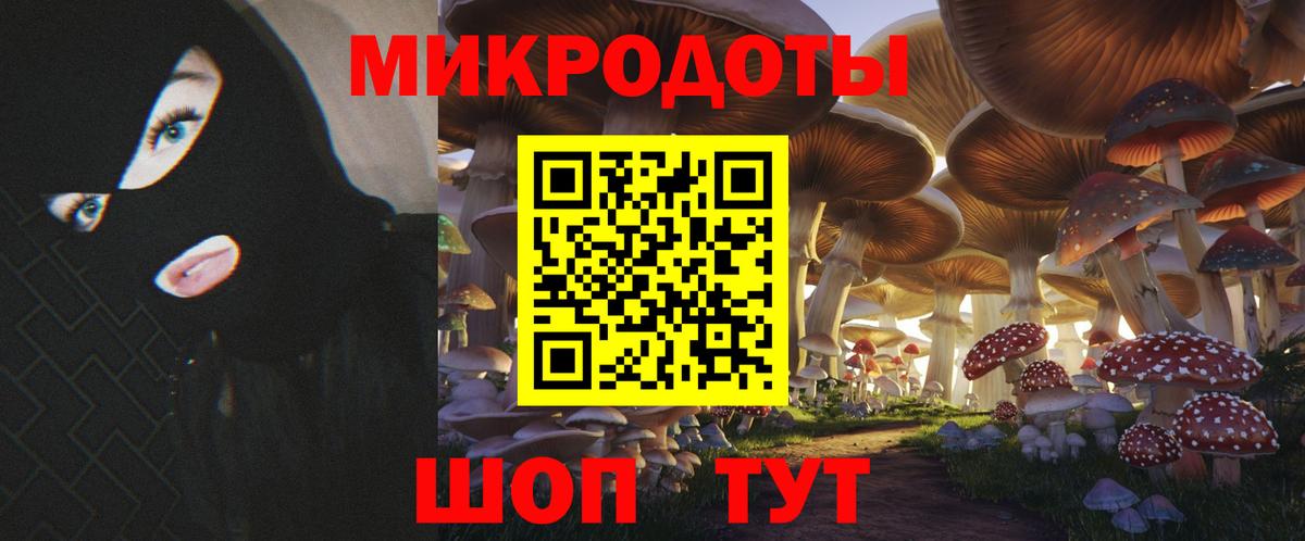 Псилоцибиновые грибы мухоморы  продажа наркотиков  Скопин  Вход с VPN 
